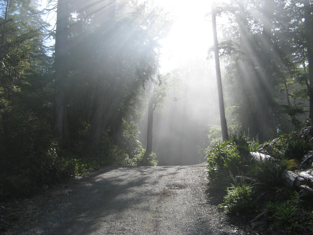 Reef Point Oceanfront Bed And Breakfast Ucluelet Esterno foto