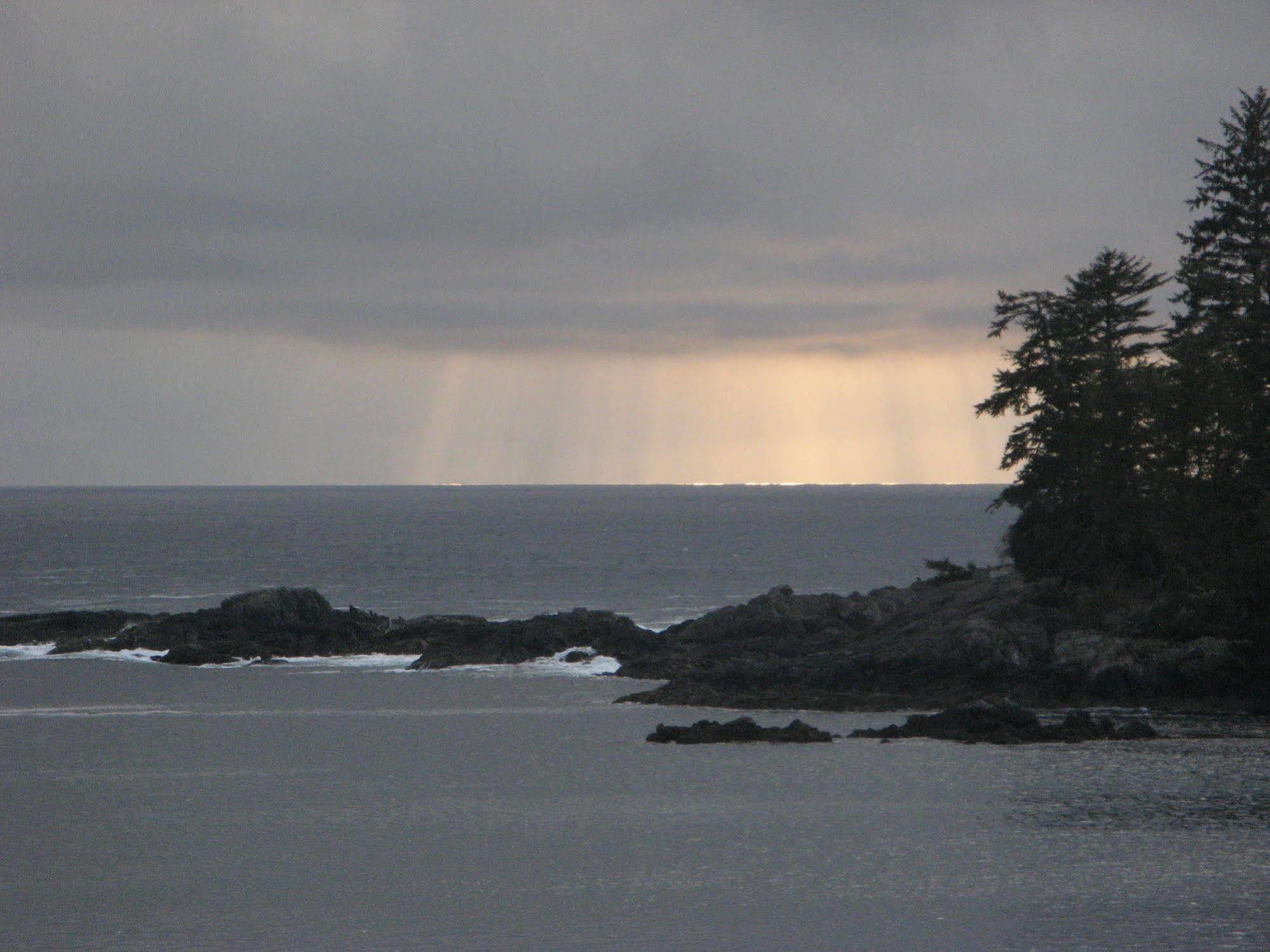 Reef Point Oceanfront Bed And Breakfast Ucluelet Esterno foto